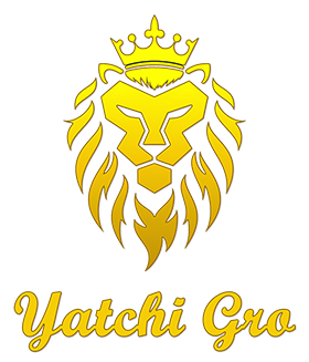 logo1